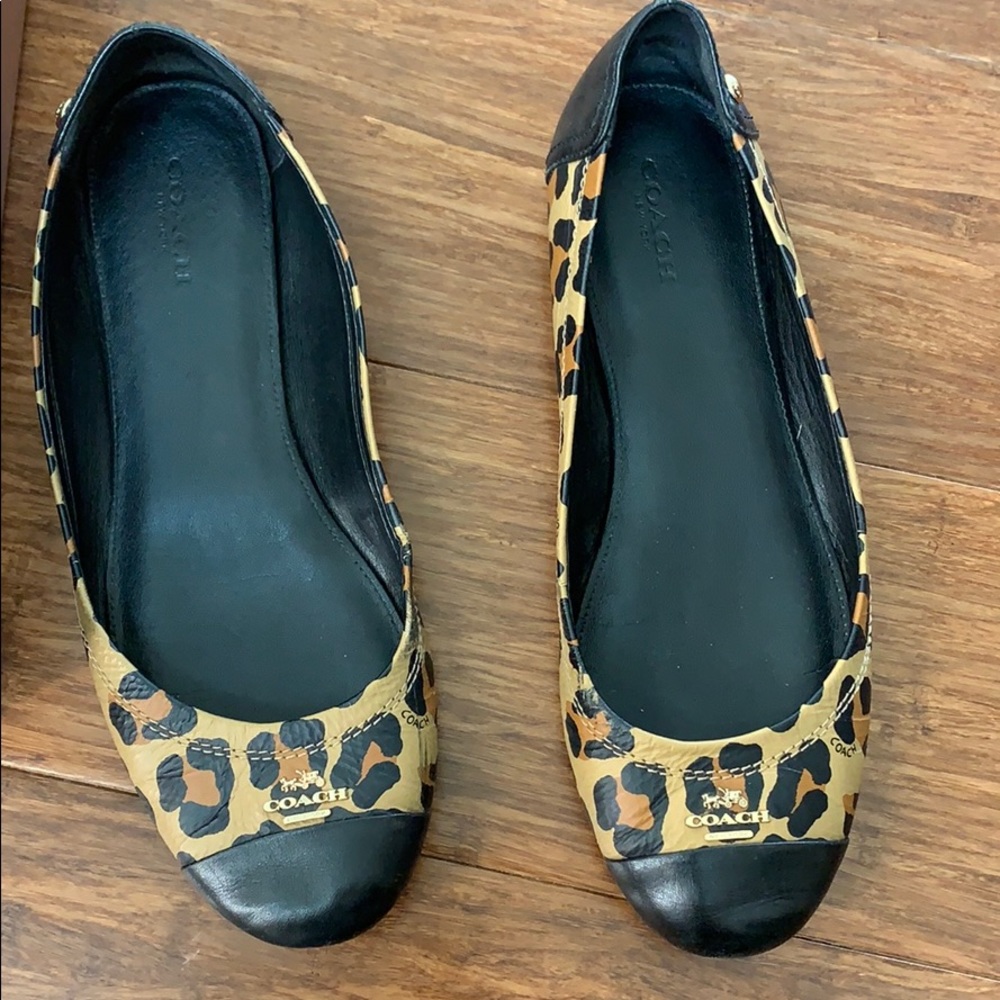Chelsea oclt leather mat clf coach flats